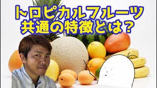 栽培者が熱帯果樹（トロピカルフルーツ）に共有する特徴を解説！！