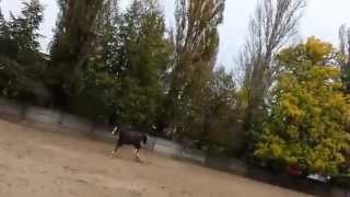 20141015 102335