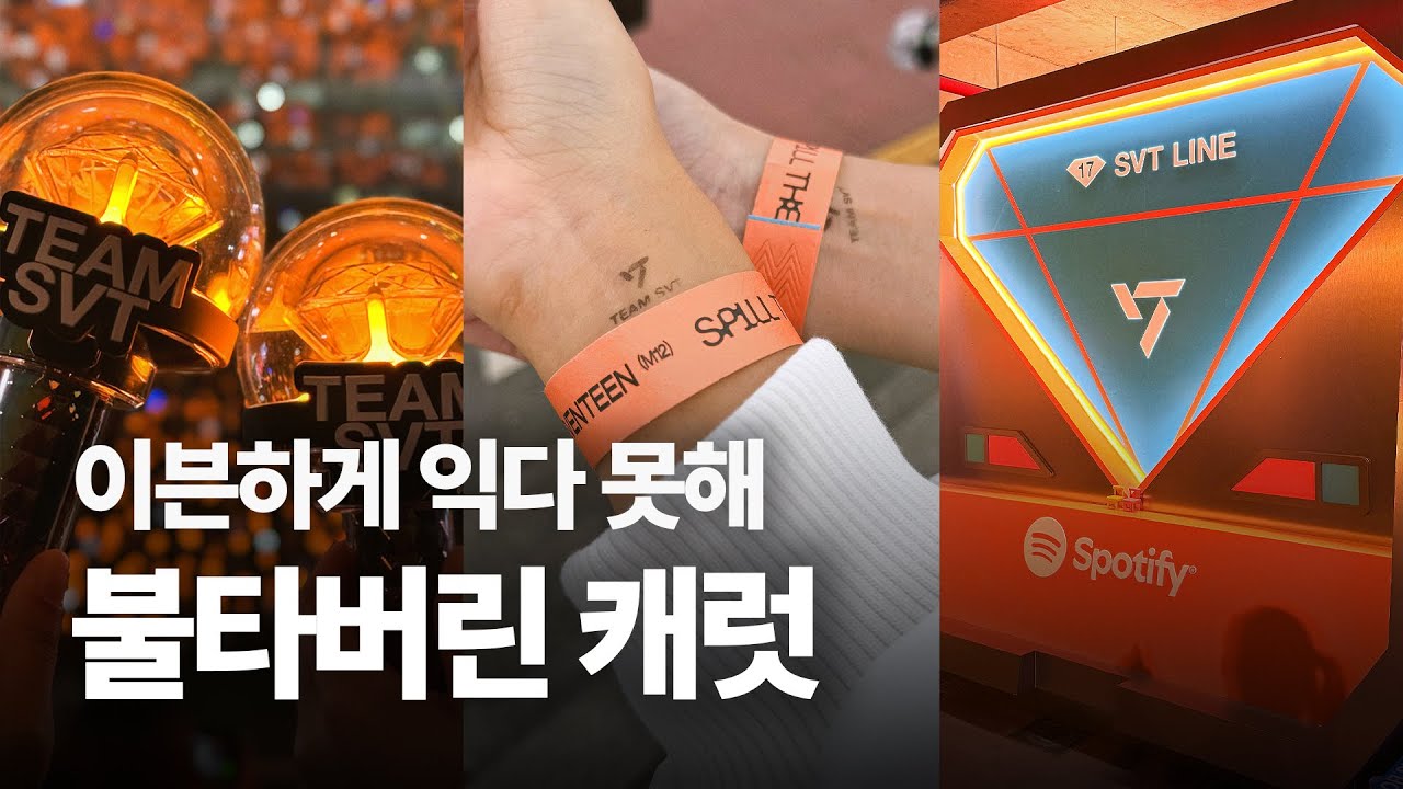 [캐럿로그] 캐럿들이 푹 쉬니? | 엠카 사녹 • 세븐틴 스트리트 • 캐럿 스테이션 • 콘서트