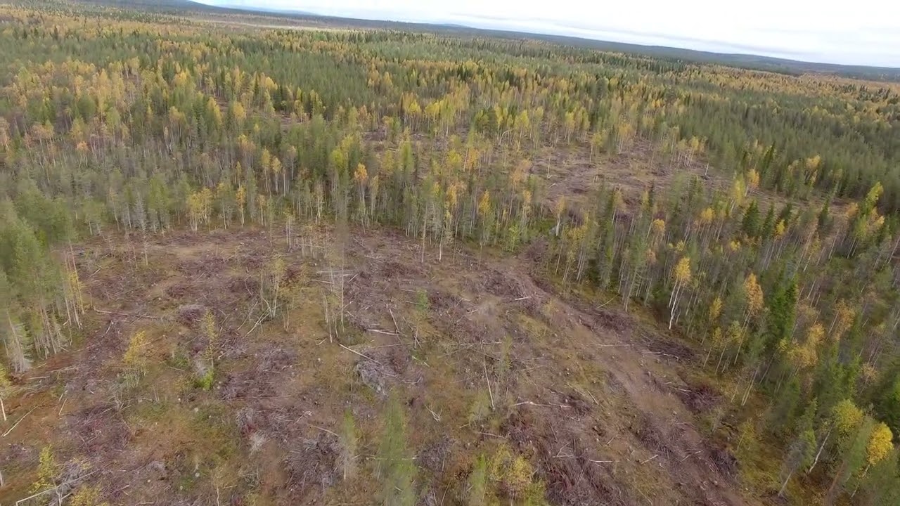 kurtakko raviradan takaa 9 2025