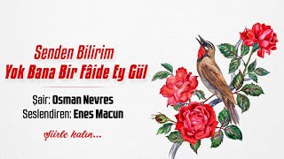 Senden Bilirim Yok Bana Bir Fâide Ey Gül / Osman Nevres