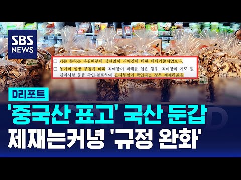 '중국산 표고' 국산 둔갑...제재는커녕 '규정 완화' / SBS / #D리포트
