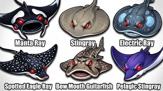 Every TYPE Of RAY Explained In 4 Minutes