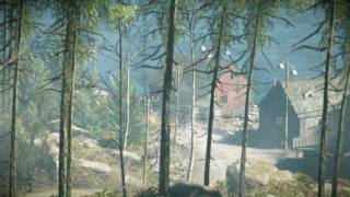 Cryengine SDK 3 Forest Customized