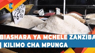 BIASHARA YA MCHELE ZANZIBAR | KILIMO CHA MPUNGA.