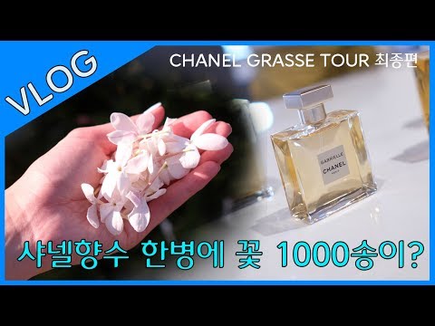 [ENG SUB] ( CHANEL GRASSE TOUR for CHANEL PERFUME ) 샤넬향수 한병에 꽃 1000송이? 샤넬 그라스 투어 !  fragrance review