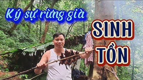 KÝ SỰ RỪNG GIÀ (# 3) Mưa rừng và bữa sáng đầy THỊT cùng Thợ rừng núi TV