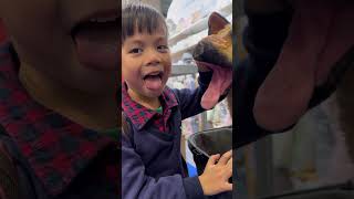 Copycat! “Copydog” 家有男寶...