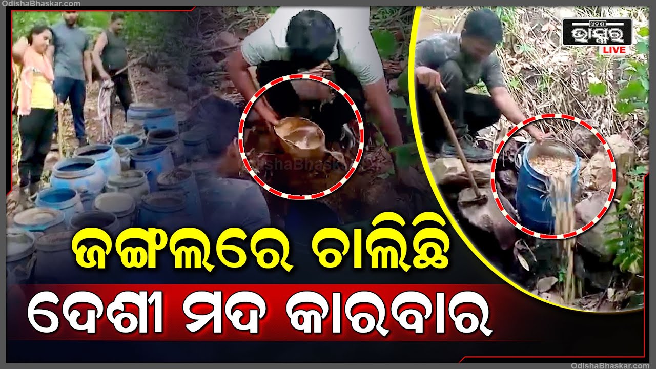 ଅବକାରୀ ବିଭାଗ ଜଙ୍ଗଲରେ ଚଢ଼ାଉ କରି ବିପୁଳ ପରିମାଣରେ ମଦ ନଷ୍ଟ କରିଛି I