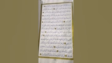 سعد الغامدي 🌟 سورة الملك 🌟 إقرأها فهي المنجية من عذاب القبر 🌟