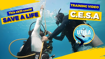 Lifesaving Skill! - Controlled Emergency Swimming Ascent (C.E.S.A) - Training Video