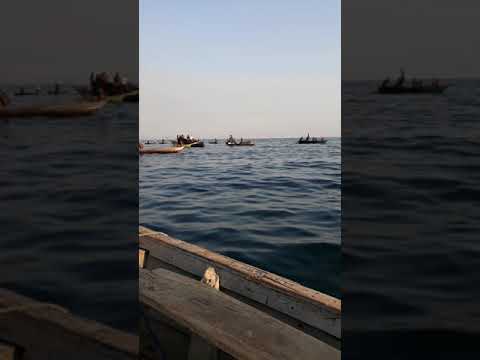 Uvuvi Haramu Bado Umeshamiri Hasa Kuvuwa Mchana Katia Ziwa Tanganyika Mkowa Wa Rukwa 