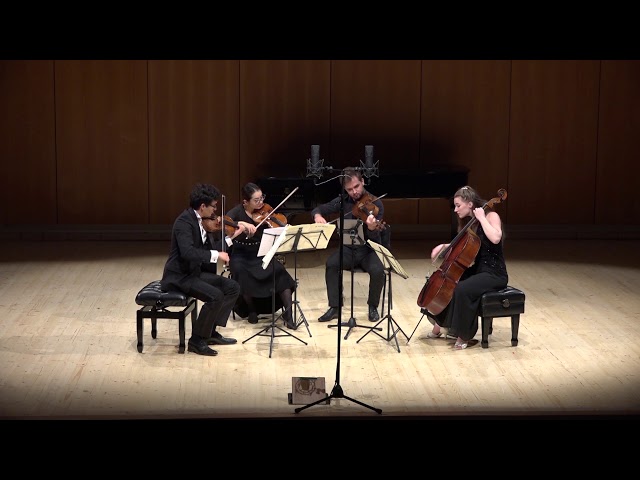 Schubert - Quatuor à cordes "La Jeune fille et la Mort":1er mvt : Quatuor Artemis