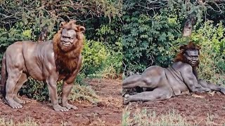 10 Scary Videos Captured on Camera