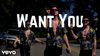 Want You Official Music Video By Lance Prince