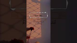 فيديوهات دينيه اجمل حالات اسلاميه حالات دينيه قصيره