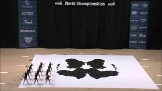 Mill Creek Winter Guard 2012 | Crazy