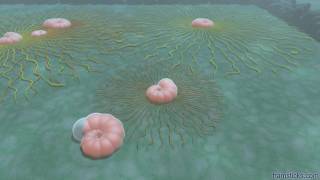 Benthic foraminifera simulation, 1500x faster than realtime
