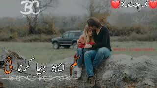 Sadi Zindagi Da 2 Hn Shoq. Whats Aap Status