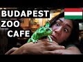 BUDAPEST! (Heroes' Square + Central Market Hall + Zoo Cafe)