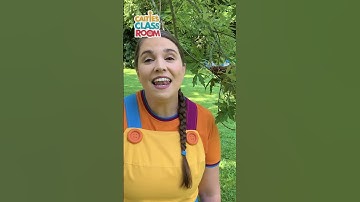 Thumbnail of Tweet tweet! Hello, Little Birdie! 🐦 #shorts #supersimplesongs #caitie