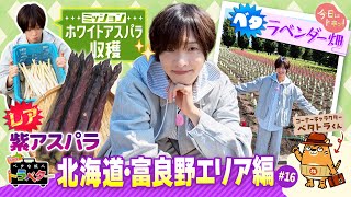 佐藤新　トラベター1周年記念限定グッズのキャップ ベタな旅人 トラベター』ベタトラくん（ラバーキーホルダー） | HBC