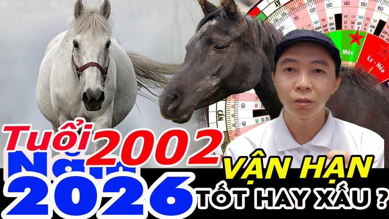 Xem Vận Hạn Tuổi Nhâm Ngọ 2002 năm 2026 RA SAO ?  Phong Thủy 100 Năm