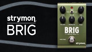 Strymon Brig dBucket Delay Sound Demo (no talking) with Roland S-1 Synth and MEGA FM