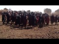 Maasai Circumsion Dance