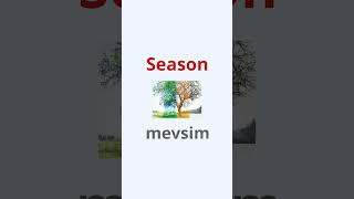 Hızlı Tekrar Serisi: İngilizce Mutfak Tarifleri Kelimeleri