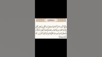 سورة الحجرات آية ١٢