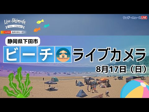 【ライブカメラ】お盆休み最終日「白浜大浜ビーチ」静岡県 下田市/2025年8月17日(日)