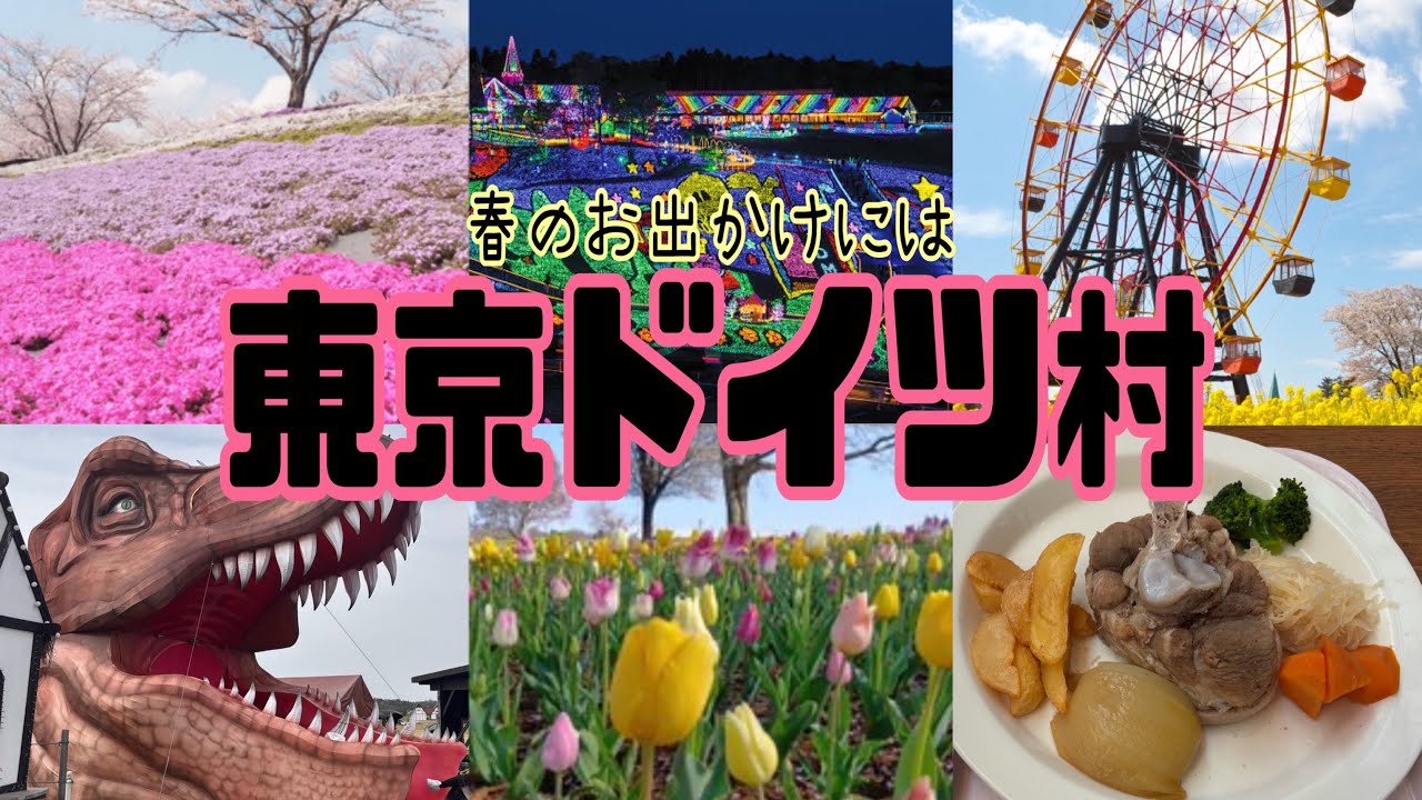 【東京ドイツ村】4K 千葉の人気のイルミネーションスポット🌃春は桜と満開のチューリップが映える🌷🌸本場ドイツ料理を味わえる🍽️次のお出かけはココに決まり🎶Chiba