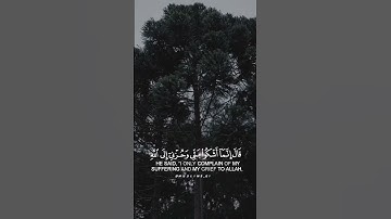 قَالَ إِنَّمَا أَشْكُو بَثِّي وَحُزْنِي إِلَى اللَّهِ -  تلاوة هادئة - القارئ: مشاري فالح.