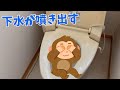 【閲覧注意】欠陥住宅!?2Fのトイレなのに下水が噴き出すトイレ