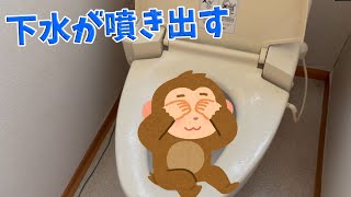 【閲覧注意】欠陥住宅!?2Fのトイレなのに下水が噴き出すトイレ