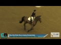 Blue Chip Show Jumping Championships - Day 5 - Haygain Hay Steamers Diamond Championship