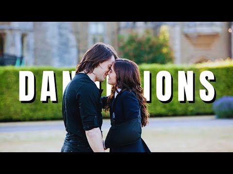 Rose And Dimitri I Dandelion Vampire Academy