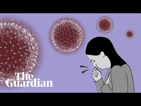 coronavirus:-how-do-i-know-if-i'm-infected-and-what-happens-next?