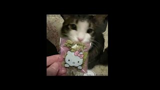 Skowro X Młodyhacken - Zjarałem Bata