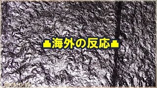 【海外の反応】焼き海苔が米アマゾンで大絶賛の嵐！！「これがあれば完璧な海苔巻きが作れる！」