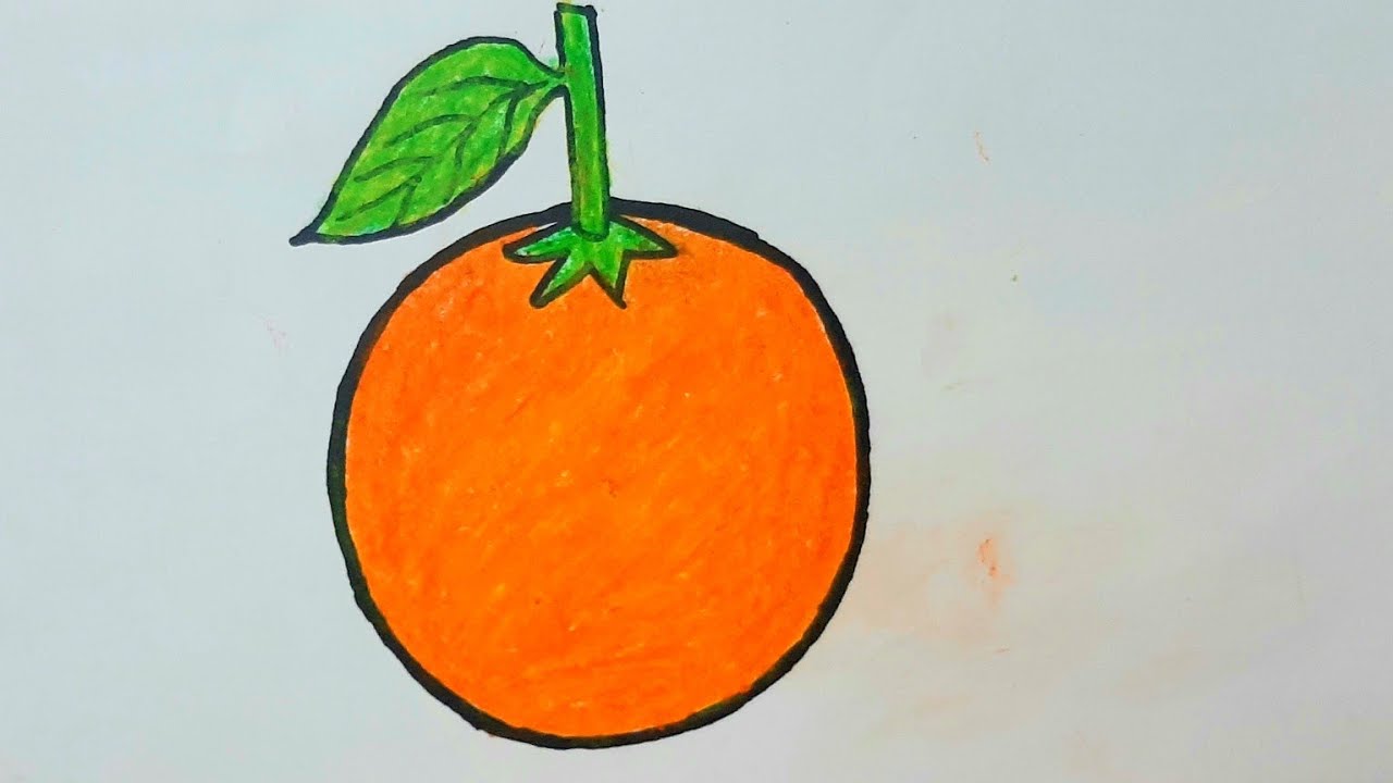 How to Draw an Orange Step by Step l Easy Orange Drawing - YouTube