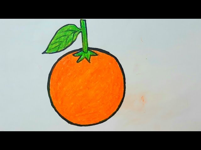 How to Draw half an Orange in 6 Steps | Doodle drawings, Fruits drawing,  Easy drawings