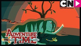 Adventure Time | Grasslands: A Brief History of The Treefort | Cartoon Network
