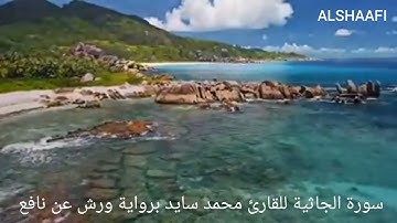 محمد سايد - سورة الجاثية |045|MOHAMED SAYED - SURAT AL JATHIYA