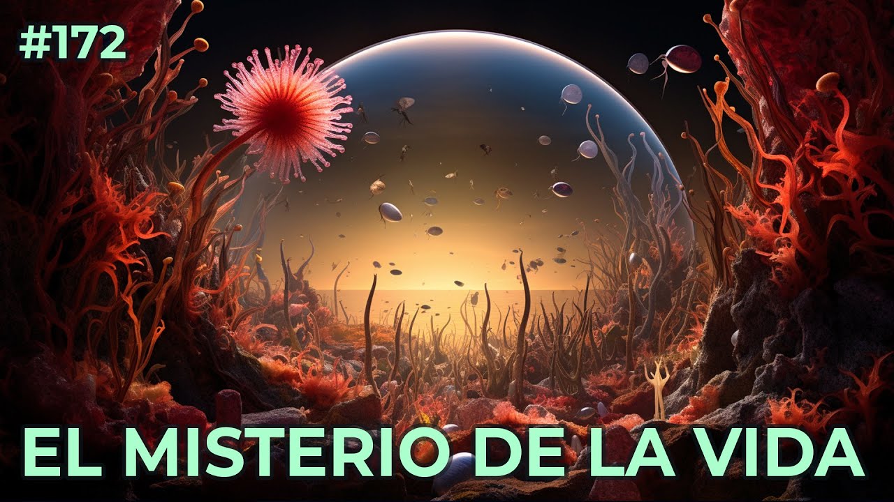 172 El misterio de la vida (I): la Tierra y el Efecto Perspectiva | FIN DE TEMPORADA - YouTube
