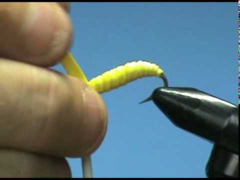 download mealworms near me download mealworms near me