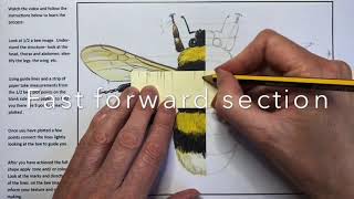 Full Drawing Proportion Symmetry Plotting News