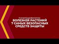 Онлайн курс обучения «Защита и карантин растений» - 6 секретов профилактики болезней растений