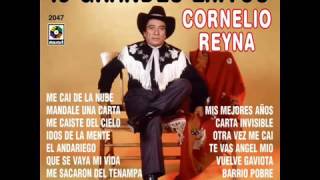 CORNELIO REYNA NADIE SABE